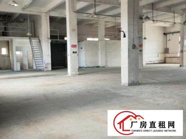  万丰九八工业区一楼7米高800平厂房