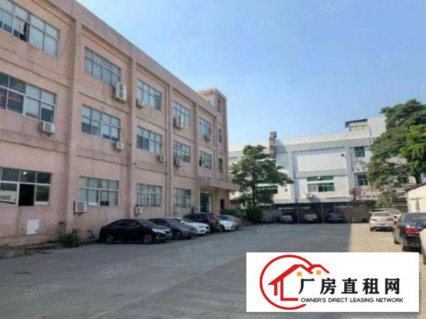  带消防喷淋沙井沙四工业区新空出510平厂房出租