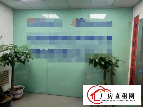  带消防喷淋沙井沙四工业区新空出510平厂房出租