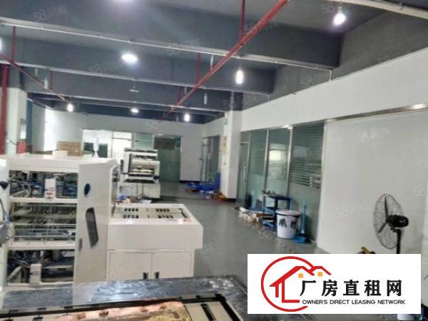  带消防喷淋沙井沙四工业区新空出510平厂房出租