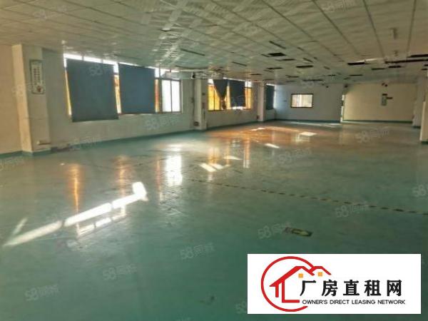  沙井国道高速附近整层2500平米厂房仓库出租精装修可分租办证