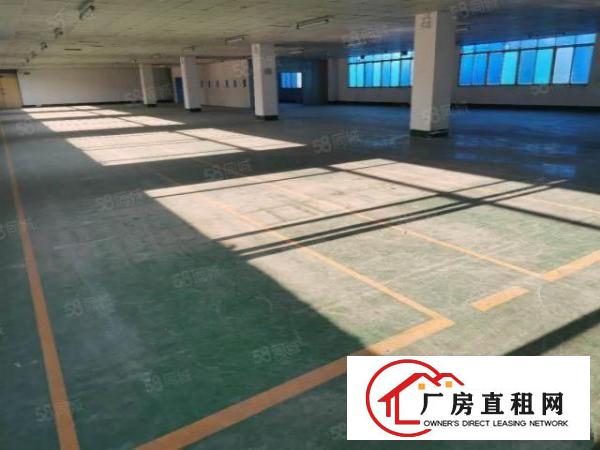  沙井国道高速附近整层2500平米厂房仓库出租精装修可分租办证