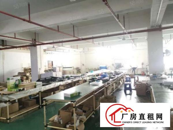  沙井东环路靠国道新出小面积厂房575平方带装修办公室出租