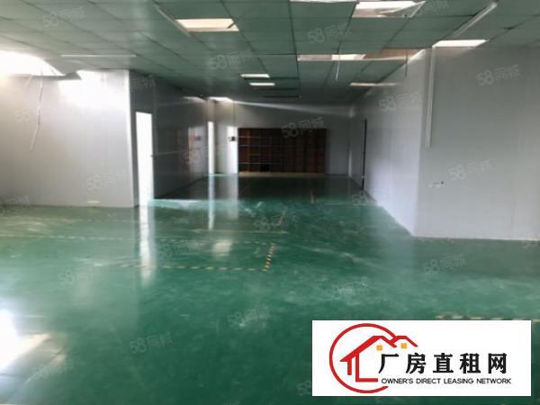  沙井新桥三区新出楼上厂房800平方招租出租主干道旁边交通方便