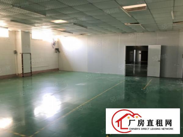  沙井新桥三区新出楼上厂房800平方招租出租主干道旁边交通方便