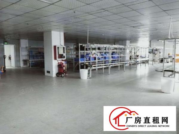  沙井新桥精装厂房出租900平方1200平