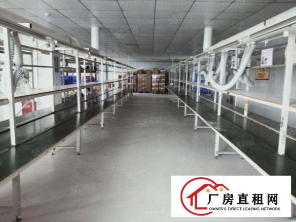  沙井新桥精装厂房出租900平方1200平