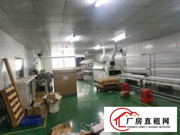  沙井新桥精装厂房出租900平方1200平