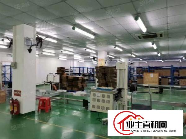 沙井大王山新出两层独院一楼2500二楼2500平大小分组。