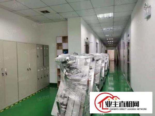  沙井大王山新出两层独院一楼2500二楼2500平大小分组。