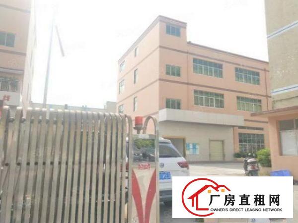  沙井和一西部新出独门独院4800平带装修水电齐全