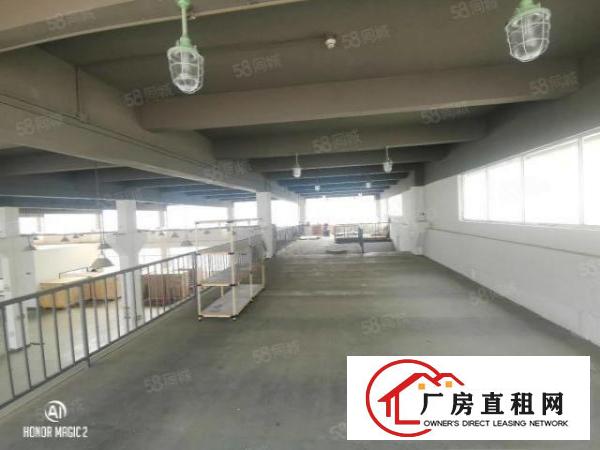 沙井新桥收费站旁8米高厂房1300平，带装修水电，无转让费