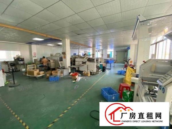  沙井新桥高新产业园新出楼上480平（带装修）