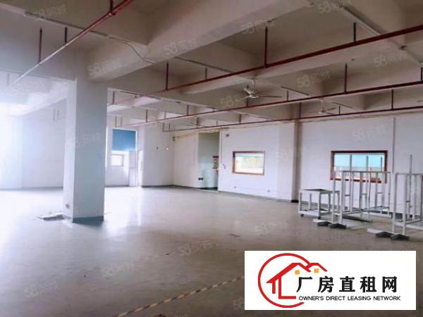  新桥第三工业区楼上880平带精装修出租