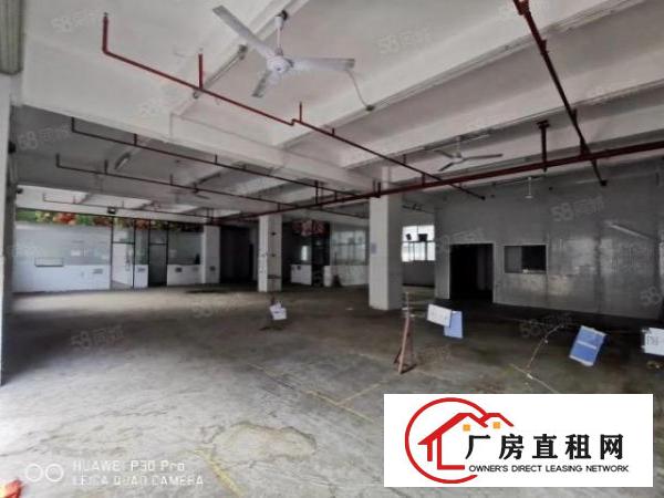  物业直租沙井107国道新出一楼600平米带装修厂房图片实拍