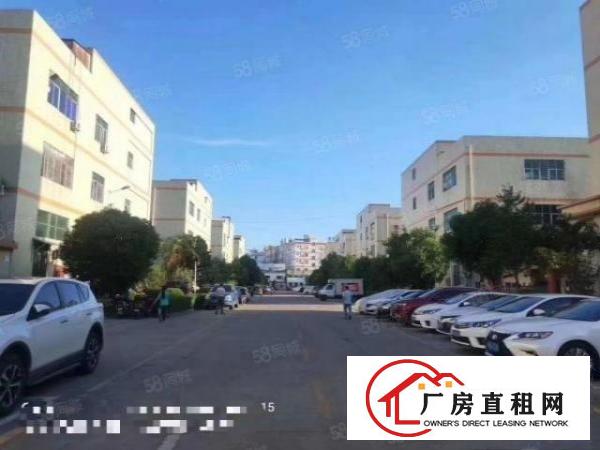  沙井黄埔107国道边1500平方厂房出租村委工业园厂房分租