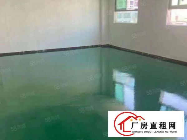  沙井黄埔107国道边1500平方厂房出租村委工业园厂房分租
