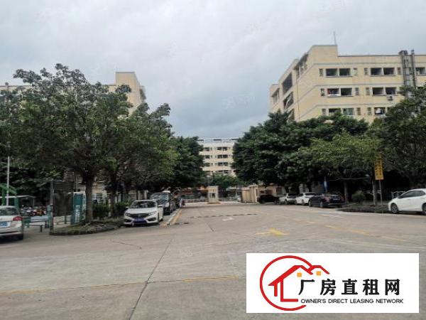  沙井沙三社区，新出一楼1880平标准厂房出租。