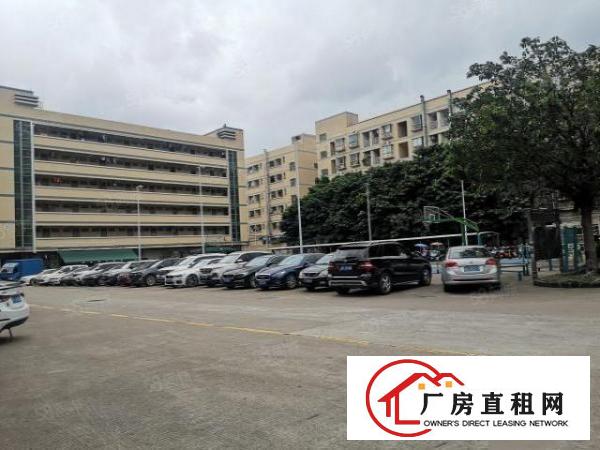  沙井沙三社区，新出一楼1880平标准厂房出租。