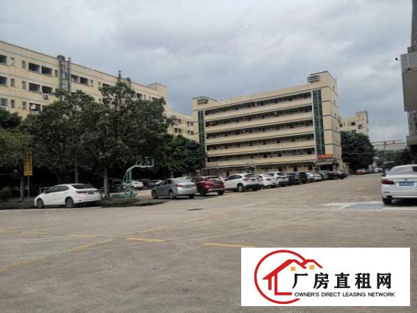  沙井沙三社区，新出一楼1880平标准厂房出租。
