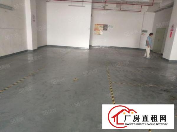  真实图片沙井新桥第三工附近新出楼上1200平方带精装修
