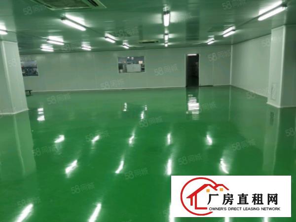  沙井工业区新出300平厂房带装修使用率高，低于市场价急