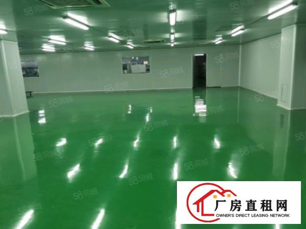  沙井工业区新出300平厂房带装修使用率高，低于市场价急