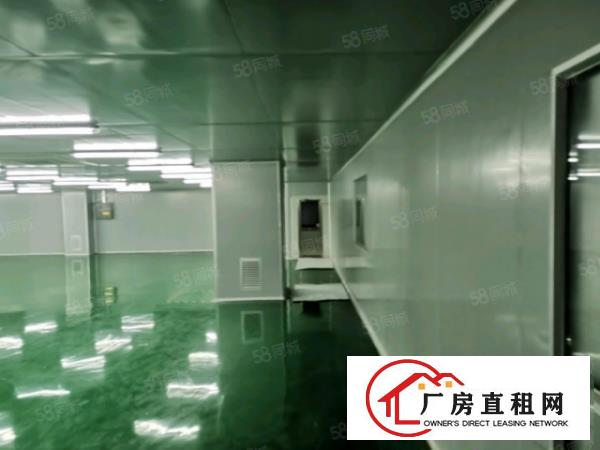  沙井工业区新出300平厂房带装修使用率高，低于市场价急