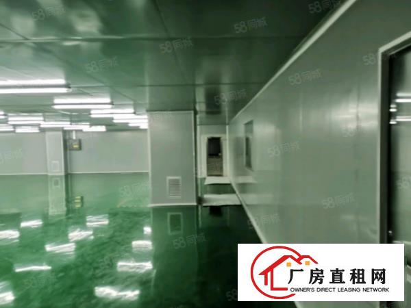  沙井工业区新出300平厂房带装修使用率高，低于市场价急