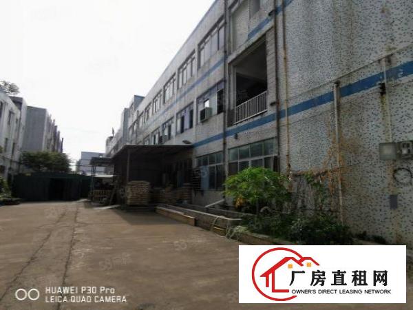  沙井西环路沙三帝堂路2楼500平带装修有吊机口无基本电费