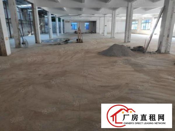  沙井新出1楼厂房仓库380平460平550平880平