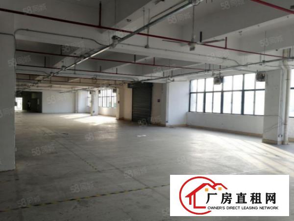  (实际面积)沙井新桥107边独院3300平方装修厂房出租
