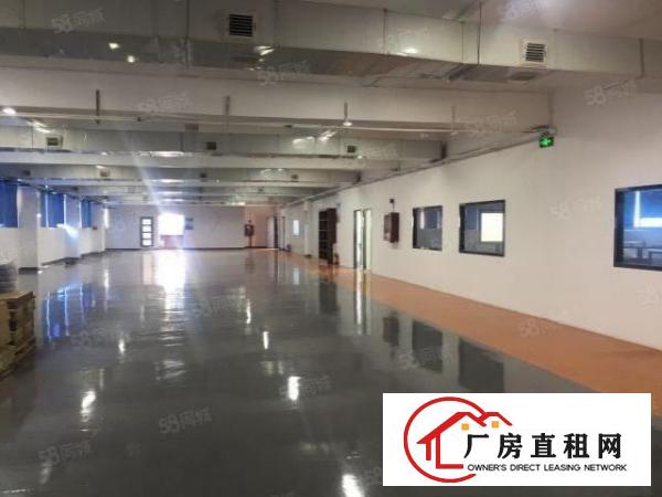  沙井京基百纳旁2楼1200平整层带豪华装修无转让费