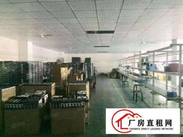  沙井共和原房东大工业区楼上整层2600平出租