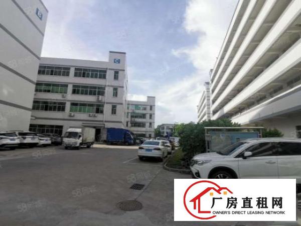  沙井200平到20000平厂房招租一楼仓库出租带无尘车间装修