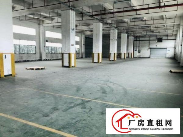  1000起分沙井西部独院35000平厂房出租，无公摊，原房东