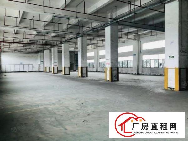  1000起分沙井西部独院35000平厂房出租，无公摊，原房东