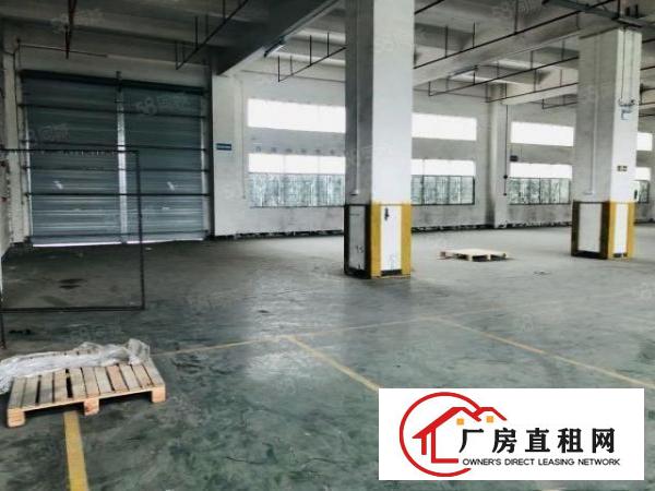  1000起分沙井西部独院35000平厂房出租，无公摊，原房东