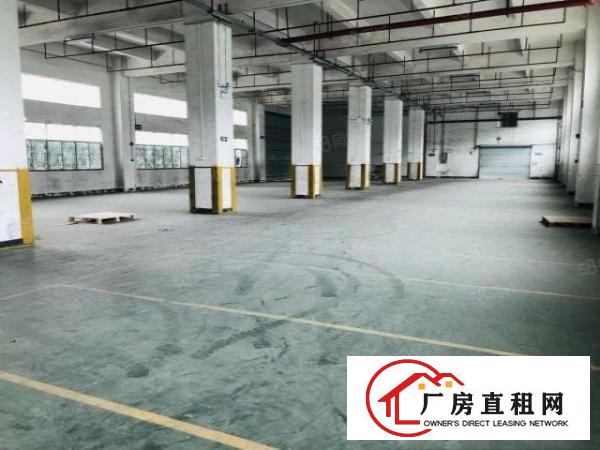  1000起分沙井西部独院35000平厂房出租，无公摊，原房东