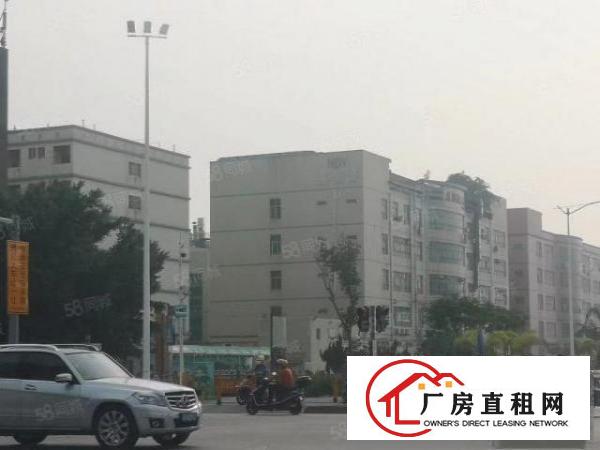  1000起分沙井西部独院35000平厂房出租，无公摊，原房东