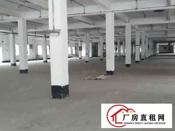  1000起分沙井西部独院35000平厂房出租，无公摊，原房东