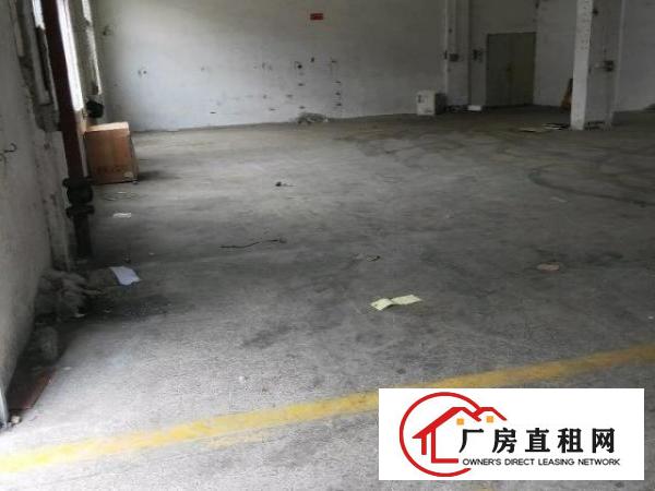  松岗义乌旁边一楼550平方原房东厂房出租