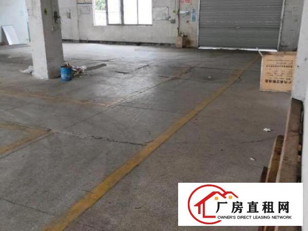  松岗义乌旁边一楼550平方原房东厂房出租