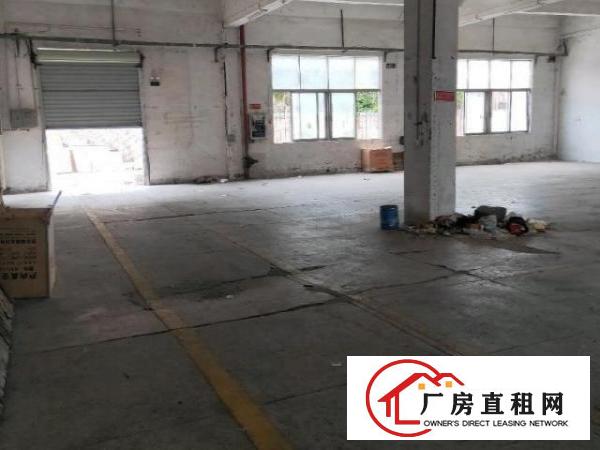  松岗义乌旁边一楼550平方原房东厂房出租