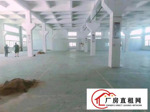  松岗独栋厂房3600平