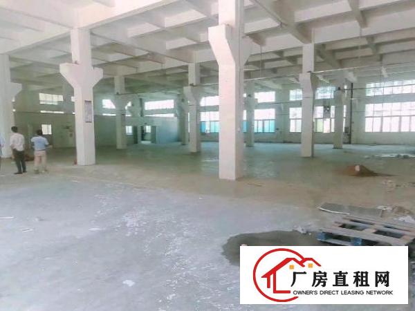  松岗独栋厂房3600平