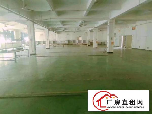  松岗独栋厂房3600平