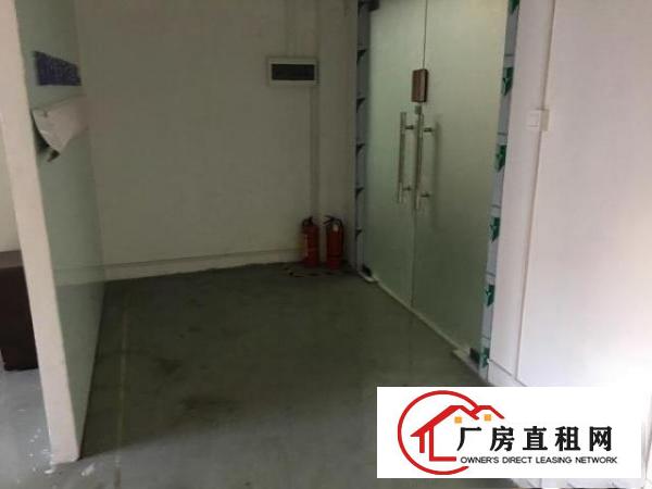 急租转松岗办公研发综合厂房
