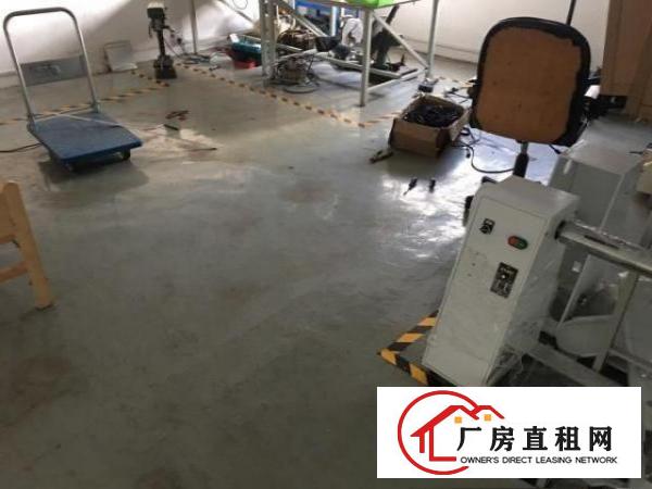  急租转松岗办公研发综合厂房