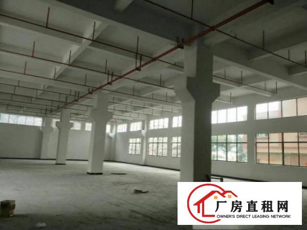  宝安松岗旁长安镇乌沙独院标准工业厂房9000平招租（可分）